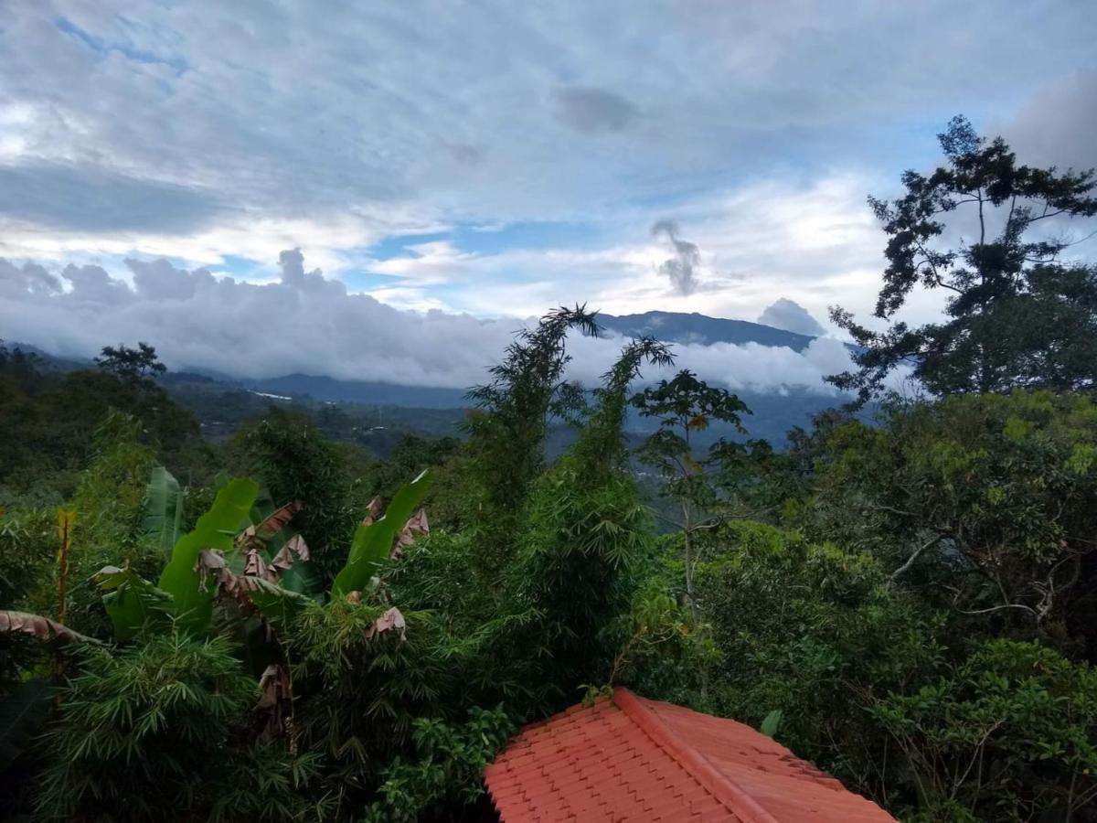 Hotel Green Mountain Turrialba Exterior foto