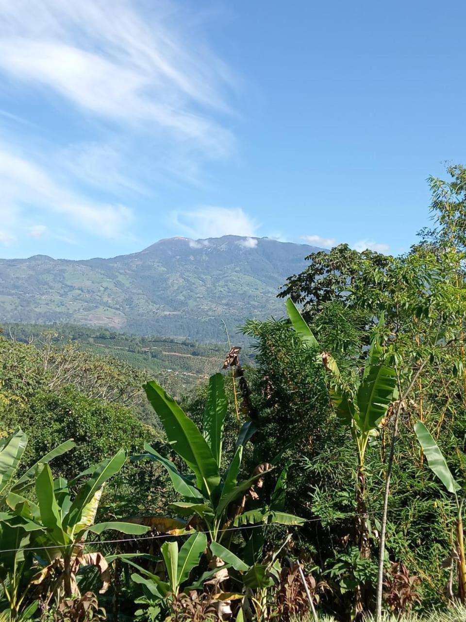 Hotel Green Mountain Turrialba Exterior foto