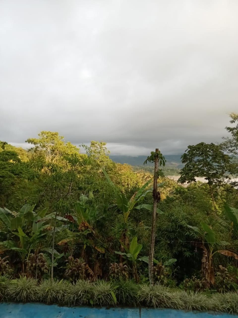 Hotel Green Mountain Turrialba Exterior foto