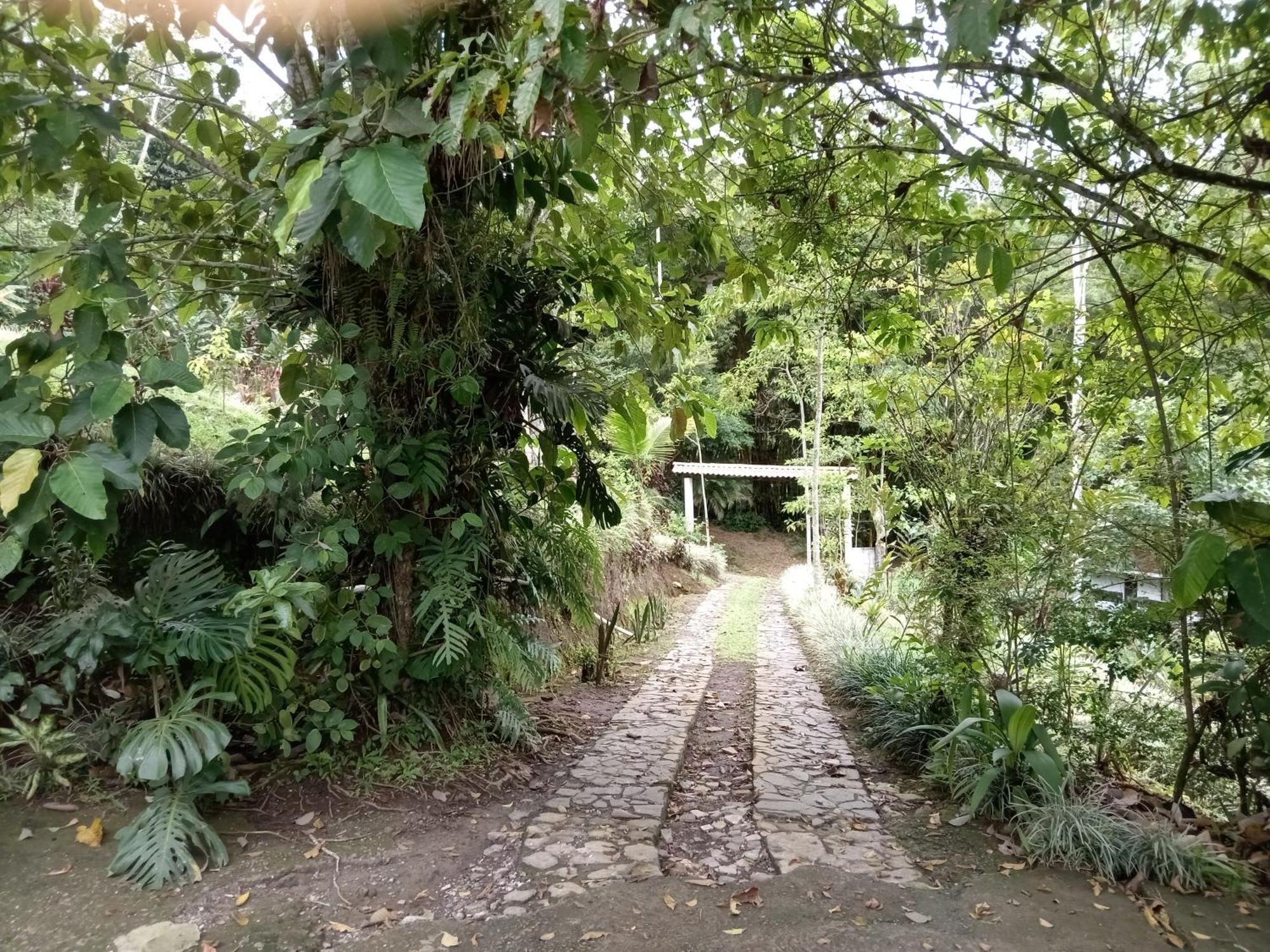 Hotel Green Mountain Turrialba Exterior foto